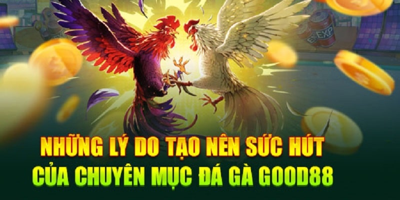 Phần đặc sắc trong sảnh cược đá gà Good88